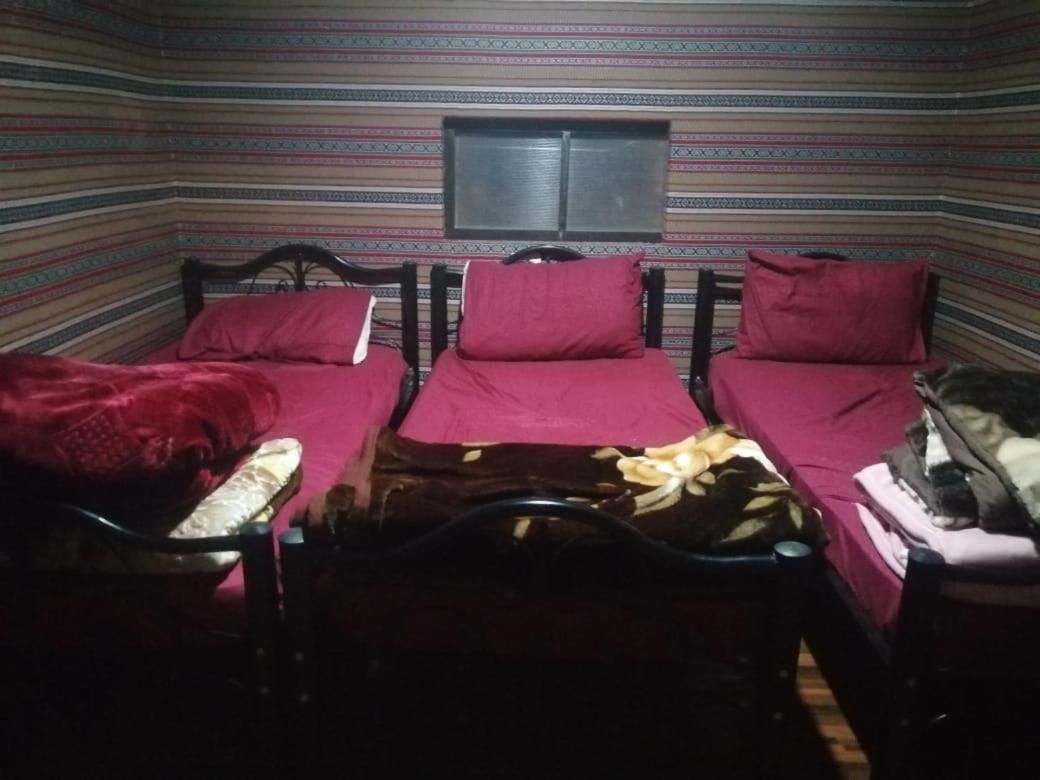 Bedouins Life Camp Hotel Aqaba Ngoại thất bức ảnh
